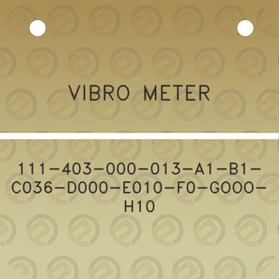 vibro-meter-111-403-000-013-a1-b1-c036-d000-e010-f0-gooo-h10