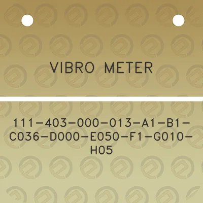 vibro-meter-111-403-000-013-a1-b1-c036-d000-e050-f1-g010-h05