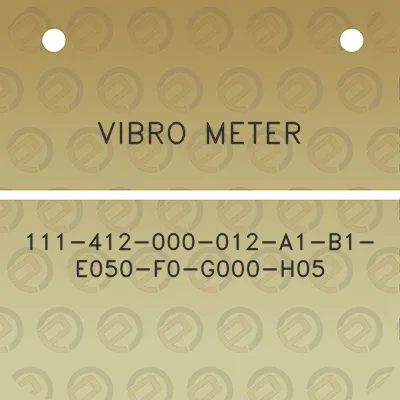 vibro-meter-111-412-000-012-a1-b1-e050-f0-g000-h05