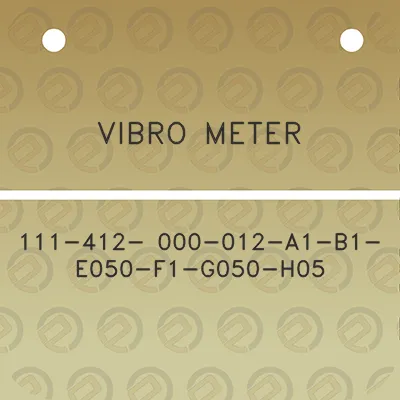 vibro-meter-111-412-000-012-a1-b1-e050-f1-g050-h05