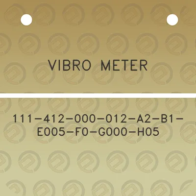 vibro-meter-111-412-000-012-a2-b1-e005-f0-g000-h05