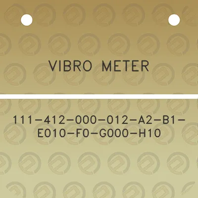 vibro-meter-111-412-000-012-a2-b1-e010-f0-g000-h10