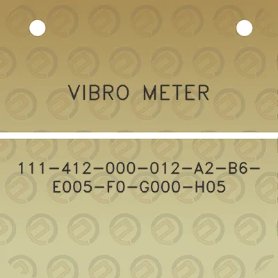 vibro-meter-111-412-000-012-a2-b6-e005-f0-g000-h05