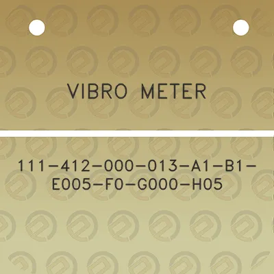 vibro-meter-111-412-000-013-a1-b1-e005-f0-g000-h05