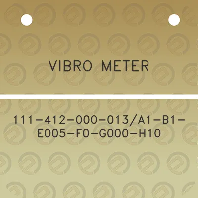 vibro-meter-111-412-000-013-a1-b1-e005-f0-g000-h10