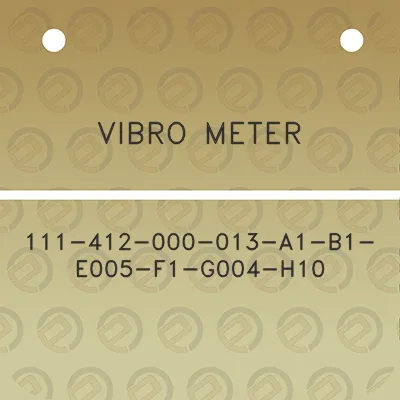 vibro-meter-111-412-000-013-a1-b1-e005-f1-g004-h10