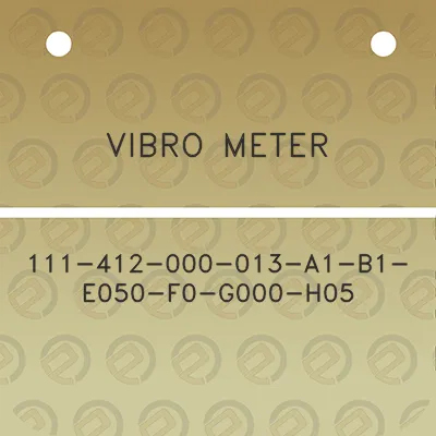 vibro-meter-111-412-000-013-a1-b1-e050-f0-g000-h05