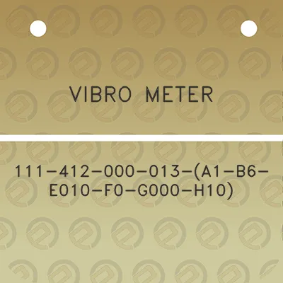 vibro-meter-111-412-000-013-a1-b6-e010-f0-g000-h10