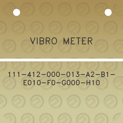 vibro-meter-111-412-000-013-a2-b1-e010-f0-g000-h10