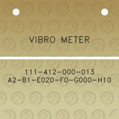 vibro-meter-111-412-000-013-a2-b1-e020-f0-g000-h10