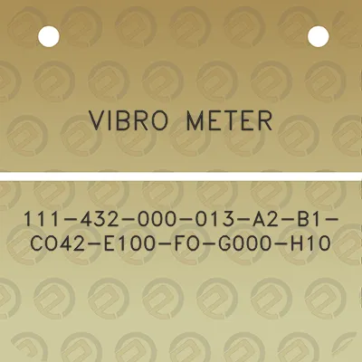 vibro-meter-111-432-000-013-a2-b1-co42-e100-fo-g000-h10