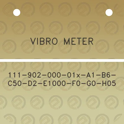 vibro-meter-111-902-000-01x-a1-b6-c50-d2-e1000-f0-g0-h05