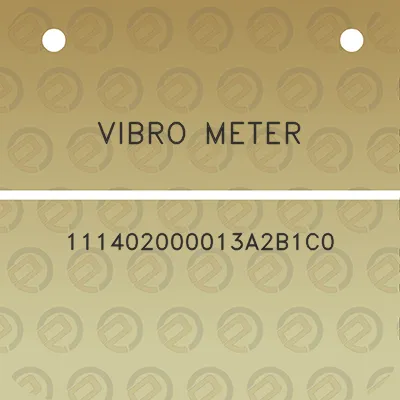 vibro-meter-111402000013a2b1c0