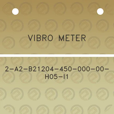 vibro-meter-2-a2-b21204-450-000-00-h05-i1