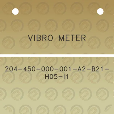 vibro-meter-204-450-000-001-a2-b21-h05-i1