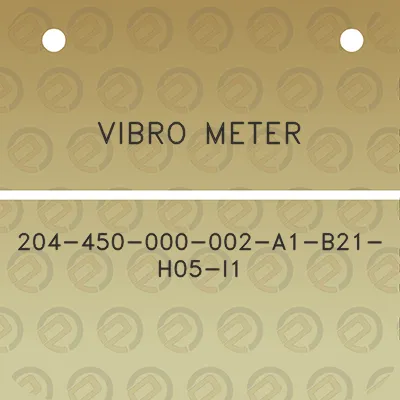 vibro-meter-204-450-000-002-a1-b21-h05-i1