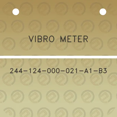 vibro-meter-244-124-000-021-a1-b3