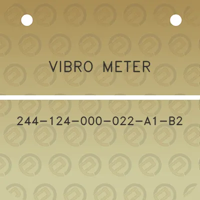 vibro-meter-244-124-000-022-a1-b2