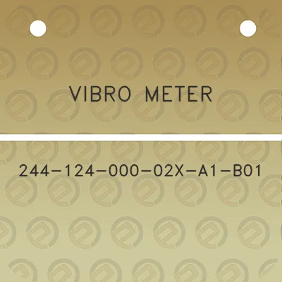 vibro-meter-244-124-000-02x-a1-b01