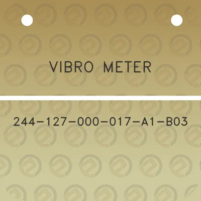 vibro-meter-244-127-000-017-a1-b03