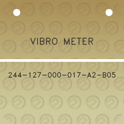 vibro-meter-244-127-000-017-a2-b05