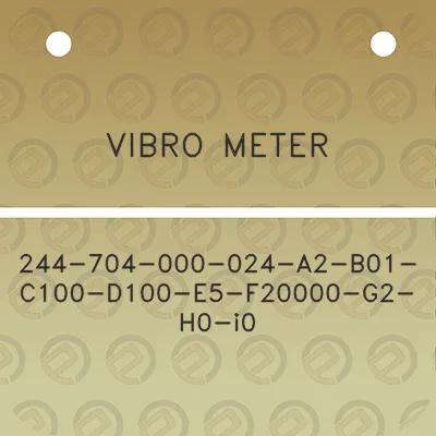 vibro-meter-244-704-000-024-a2-b01-c100-d100-e5-f20000-g2-h0-i0