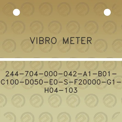 vibro-meter-244-704-000-042-a1-b01-c100-d050-e0-s-f20000-g1-h04-103