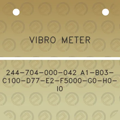 vibro-meter-244-704-000-042-a1-b03-c100-d77-e2-f5000-g0-h0-i0