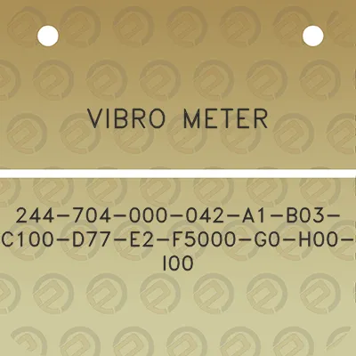 vibro-meter-244-704-000-042-a1-b03-c100-d77-e2-f5000-g0-h00-i00