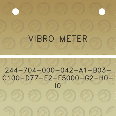 vibro-meter-244-704-000-042-a1-b03-c100-d77-e2-f5000-g2-h0-i0