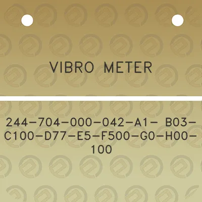 vibro-meter-244-704-000-042-a1-b03-c100-d77-e5-f500-g0-h00-100