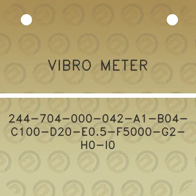 vibro-meter-244-704-000-042-a1-b04-c100-d20-e05-f5000-g2-h0-i0