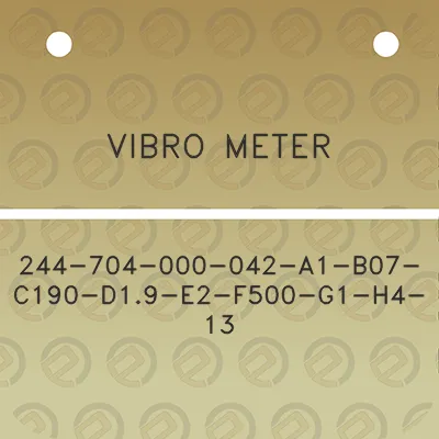 vibro-meter-244-704-000-042-a1-b07-c190-d19-e2-f500-g1-h4-13