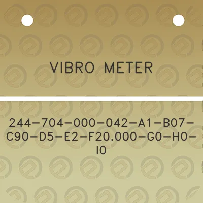 vibro-meter-244-704-000-042-a1-b07-c90-d5-e2-f20000-g0-h0-i0