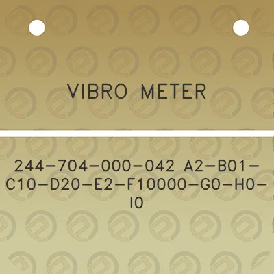 vibro-meter-244-704-000-042-a2-b01-c10-d20-e2-f10000-g0-h0-i0