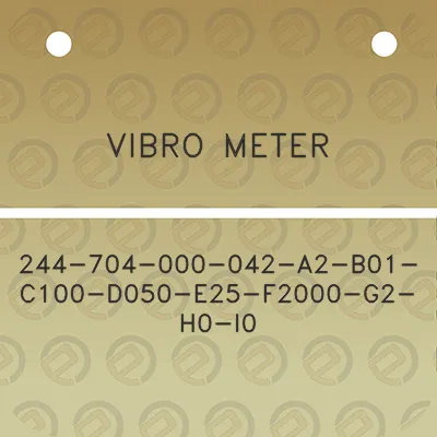 vibro-meter-244-704-000-042-a2-b01-c100-d050-e25-f2000-g2-h0-i0