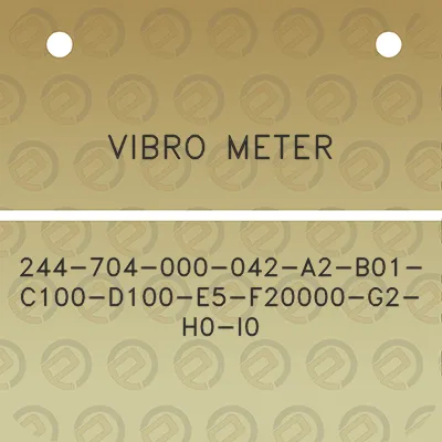 vibro-meter-244-704-000-042-a2-b01-c100-d100-e5-f20000-g2-h0-i0