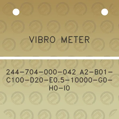 vibro-meter-244-704-000-042-a2-b01-c100-d20-e05-10000-g0-h0-i0