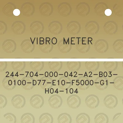 vibro-meter-244-704-000-042-a2-b03-0100-d77-e10-f5000-g1-h04-104