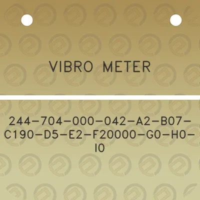 vibro-meter-244-704-000-042-a2-b07-c190-d5-e2-f20000-g0-h0-i0