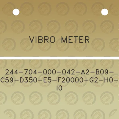 vibro-meter-244-704-000-042-a2-b09-c59-d350-e5-f20000-g2-h0-i0