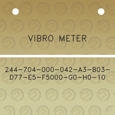 vibro-meter-244-704-000-042-a3-b03-d77-e5-f5000-g0-h0-10