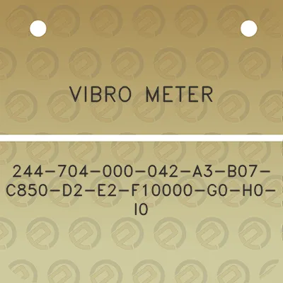 vibro-meter-244-704-000-042-a3-b07-c850-d2-e2-f10000-g0-h0-i0