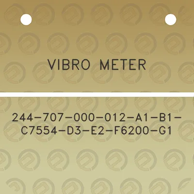 vibro-meter-244-707-000-012-a1-b1-c7554-d3-e2-f6200-g1