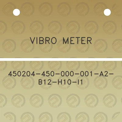 vibro-meter-450204-450-000-001-a2-b12-h10-i1