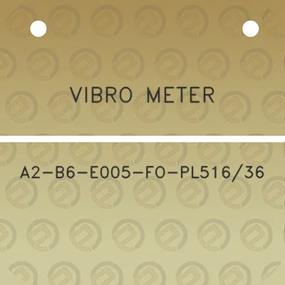 vibro-meter-a2-b6-e005-fo-pl51636