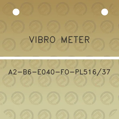 vibro-meter-a2-b6-e040-fo-pl51637