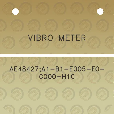 vibro-meter-ae48427a1-b1-e005-f0-g000-h10