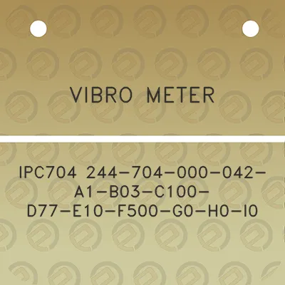 vibro-meter-ipc704-244-704-000-042-a1-b03-c100-d77-e10-f500-g0-h0-i0