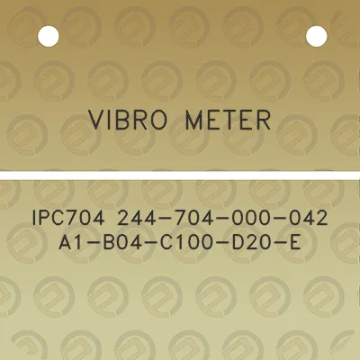 vibro-meter-ipc704-244-704-000-042-a1-b04-c100-d20-e